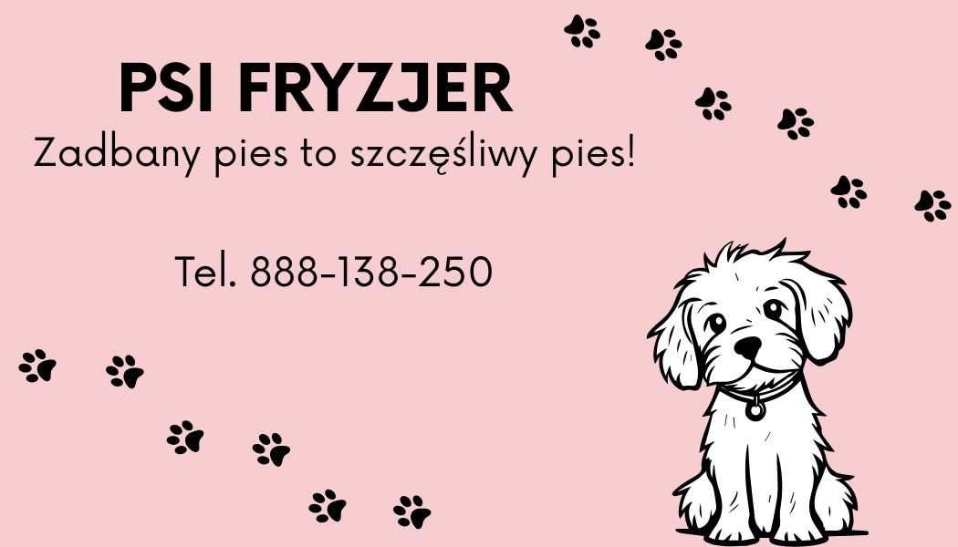 Psi fryzjer/groomer