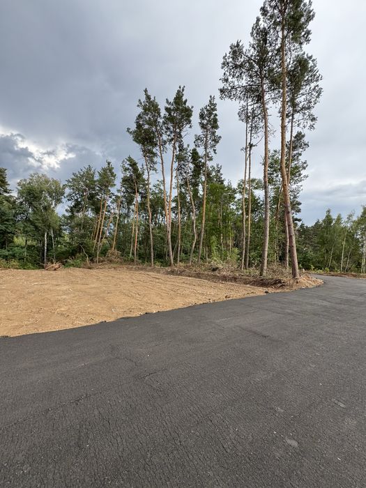 Продаж ділянок у сосновому лісі від 10-12-25 соток КМ Нова Ходосівка