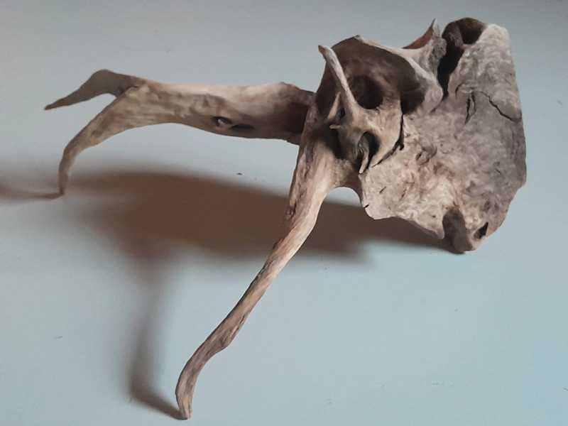 Korzeń do akwarium, terrarium.