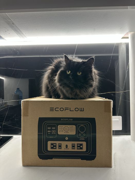 У НАЯВНОСТІ ЄВРОПА EcoFlow River 2 Max зарядна станція