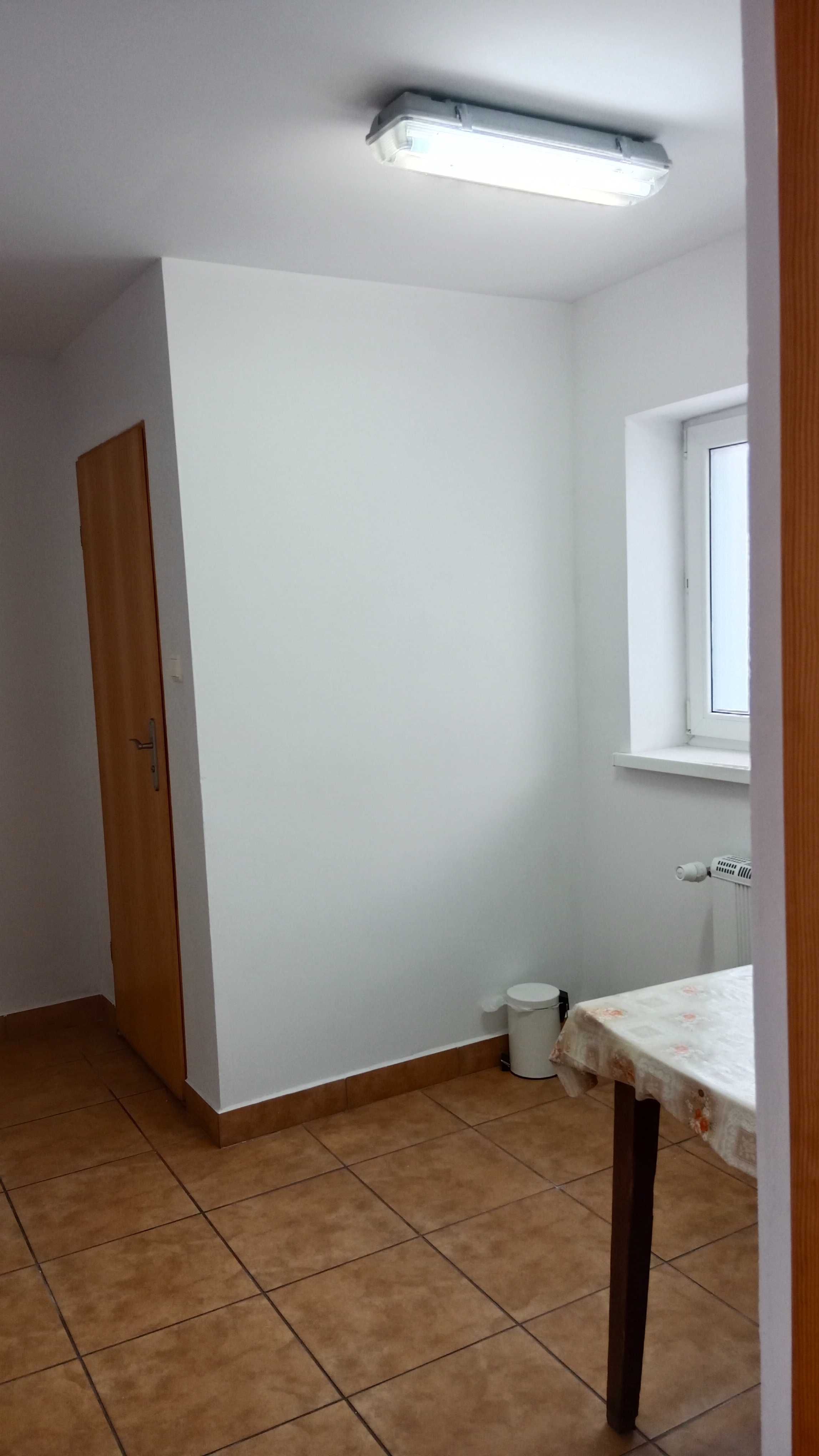 Lokal do wynajęcia