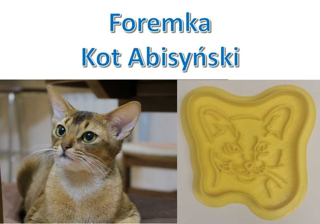 Foremka 3D w kształcie Kot Abisyński (Abyssinian cat)