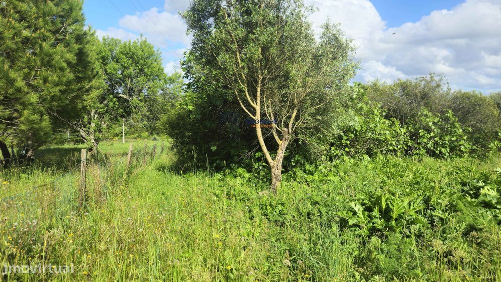 Terreno Rústico Urbanizável, Paialvo, Tomar