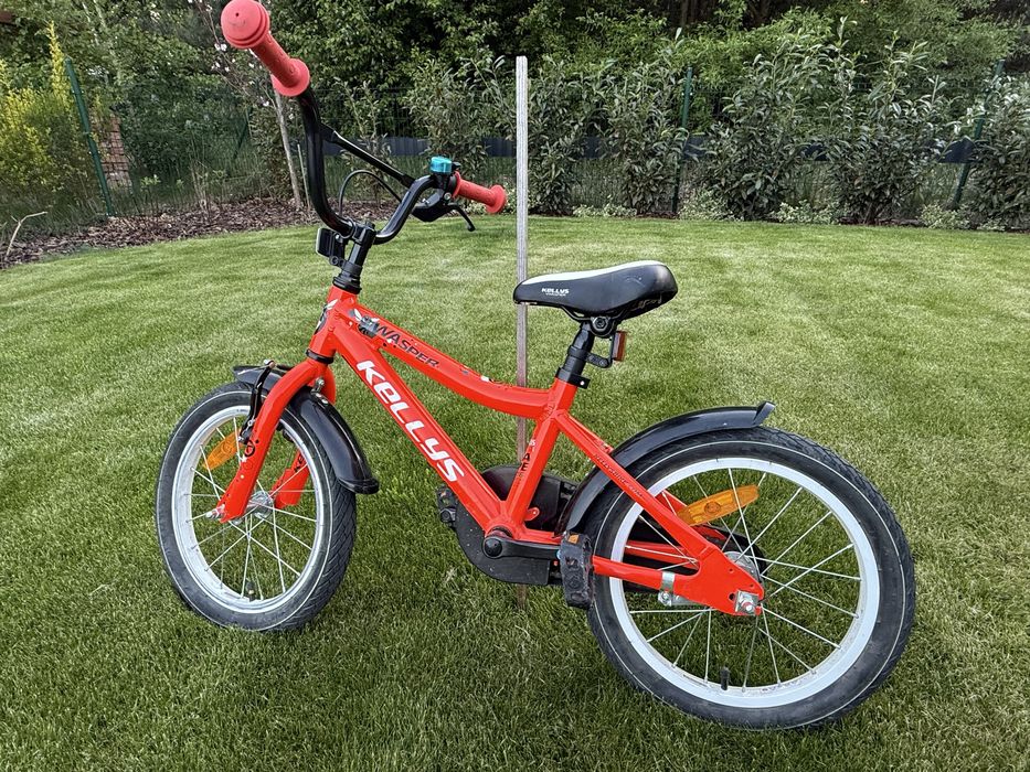 Rower  Kellys Wasper