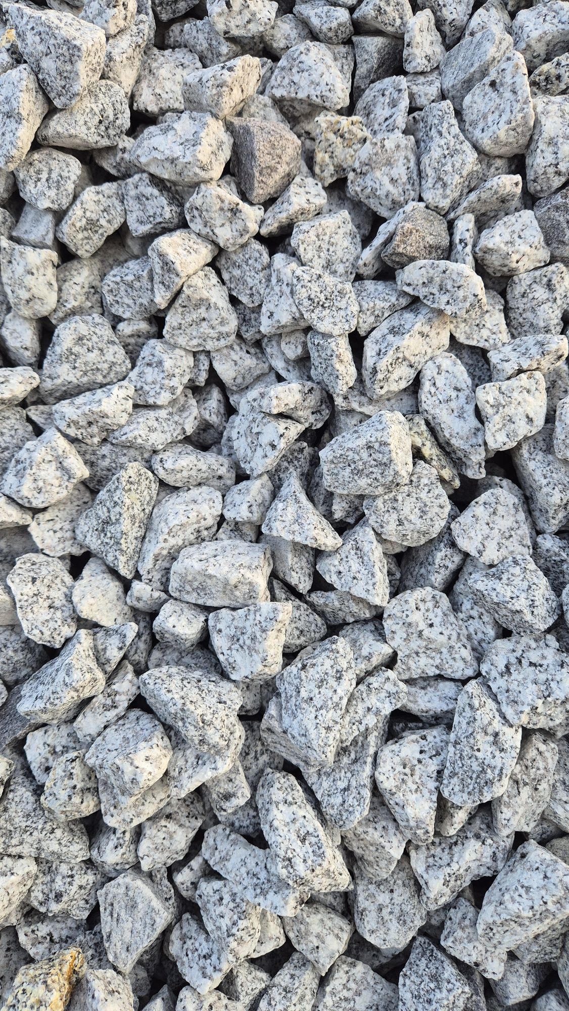 GRYS Granitowy Delmatyńczyk kruszywo ozdobne 16-22 Dekoracyjny