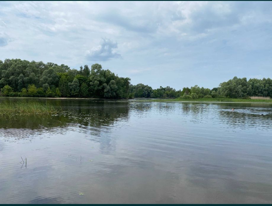 Продаж земельної ділянки Прохорів хутір