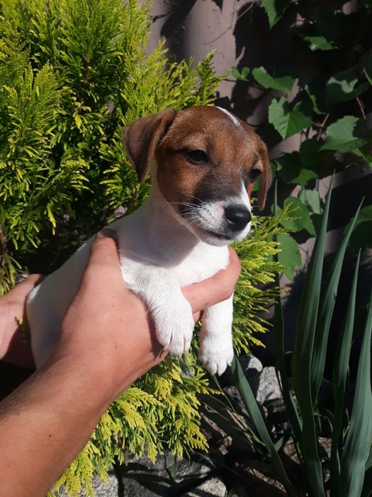 Чудо само для Вас!