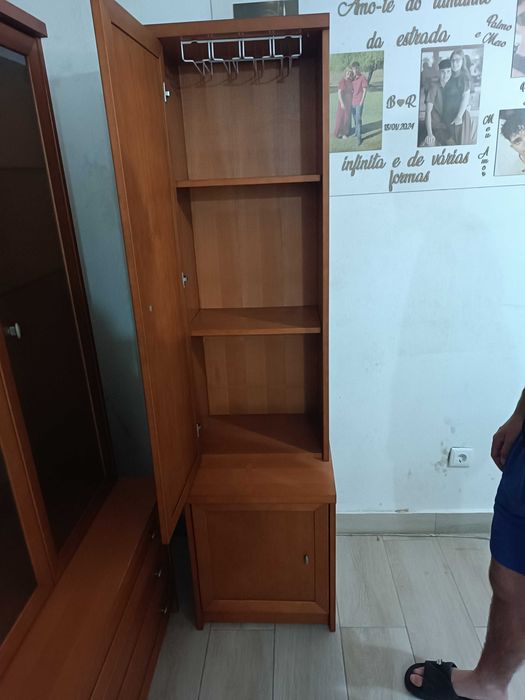 Móveis de sala e mesa de centro