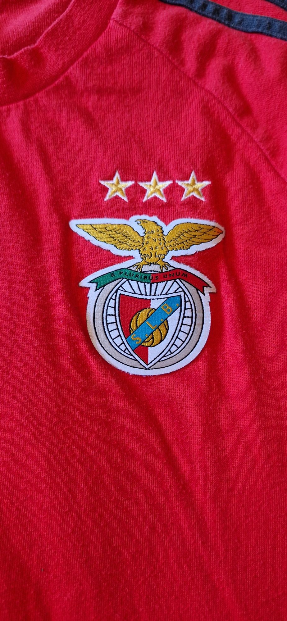 Camisola staff SLB Benfica