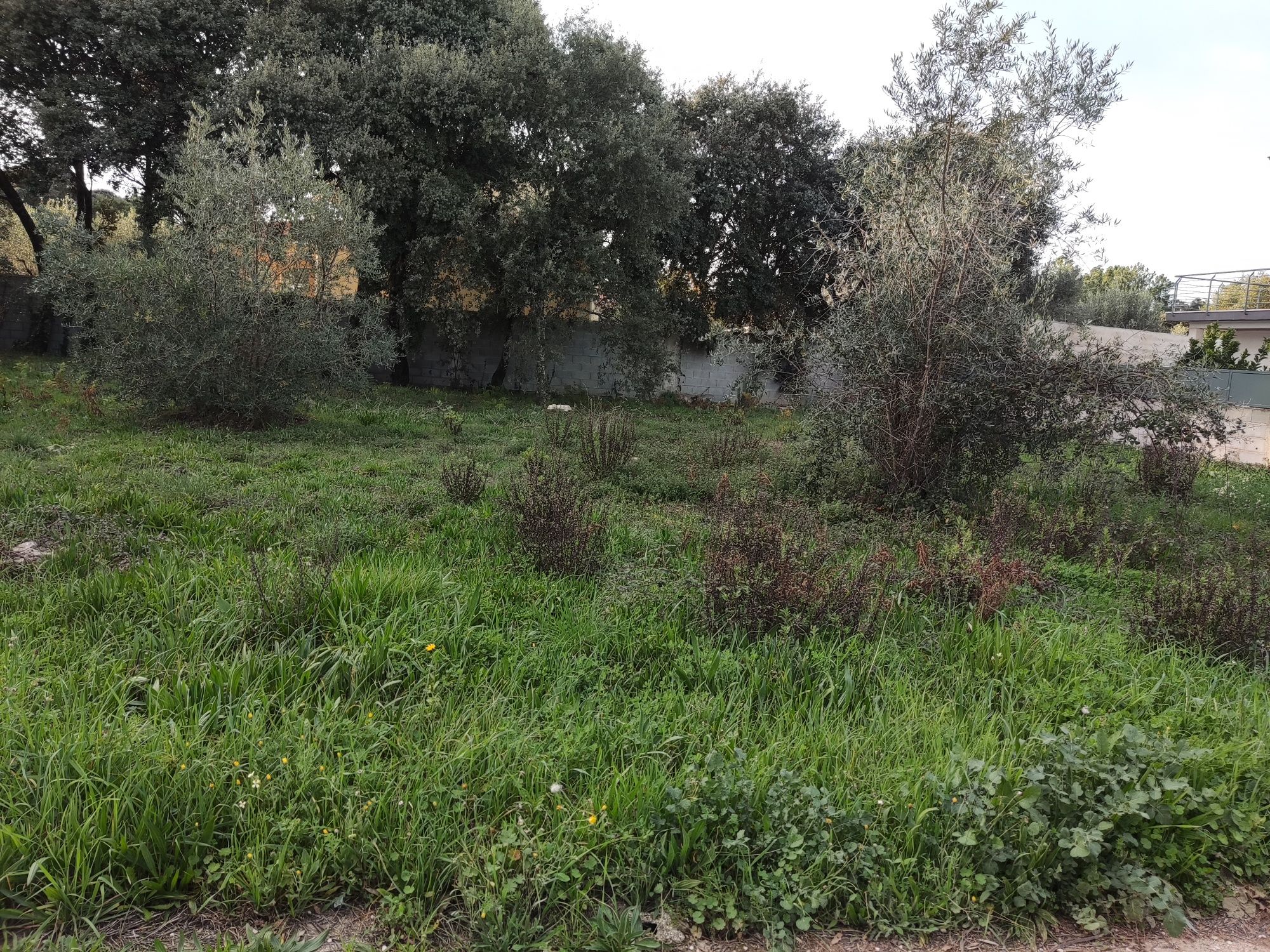 Terreno urbano para construção de moradia