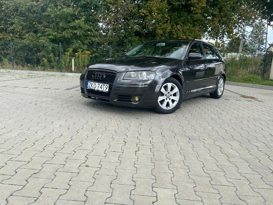 Audi A3 8P 2.0TDI