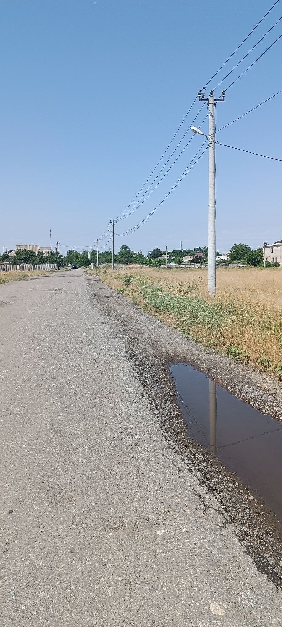 Отдам владельцу в руки