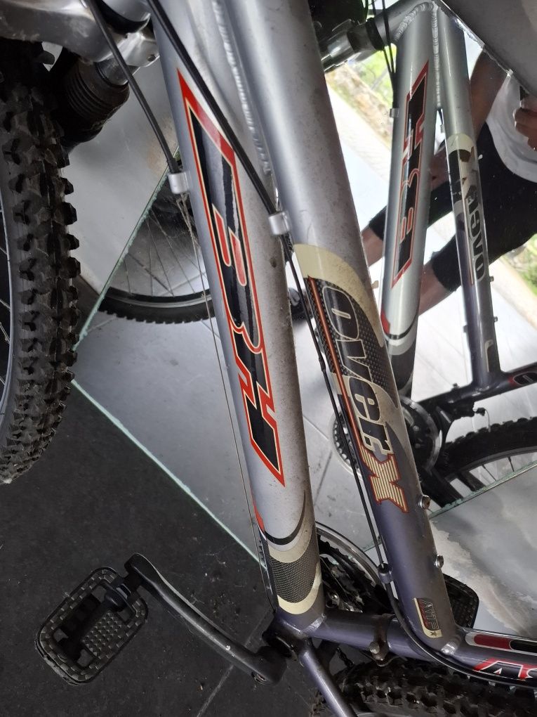 Bicicleta adulto
