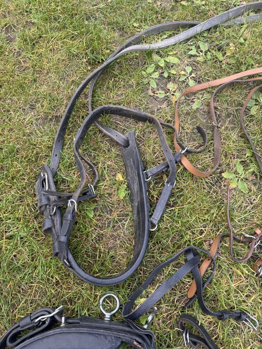 Uprzaz szory dla kucyka