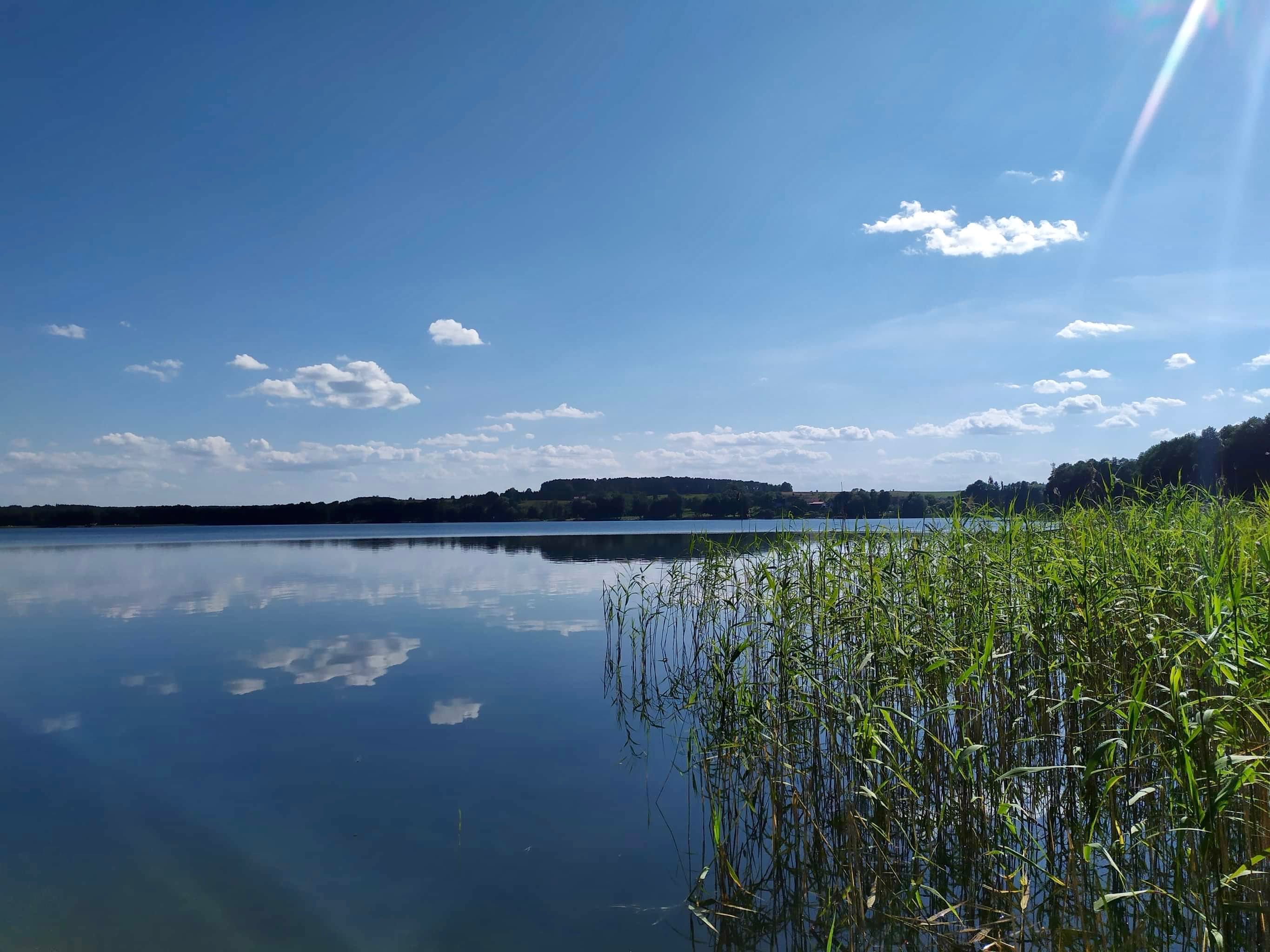 Domek z własną linią brzegową w sercu Mazur !Wolne od dzisiaj do 18/07