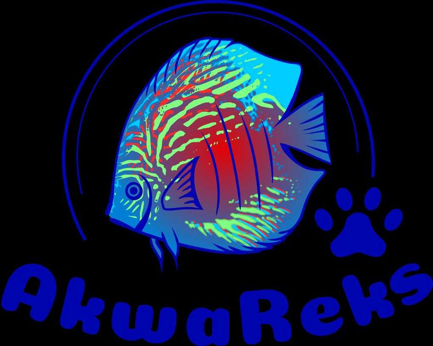 Akwarium na wymiar; Sklep akwarystyczno-zoologiczny AKWAREKS