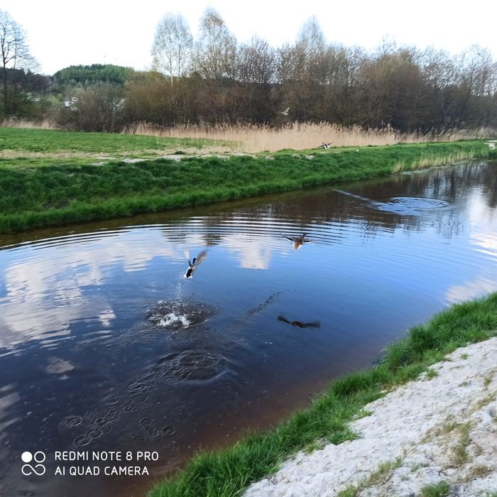 Wolny od dziś ! Domek na Polance