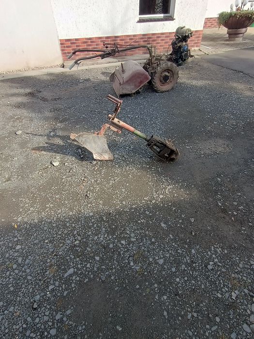 Glebogryzarka ogrodowa