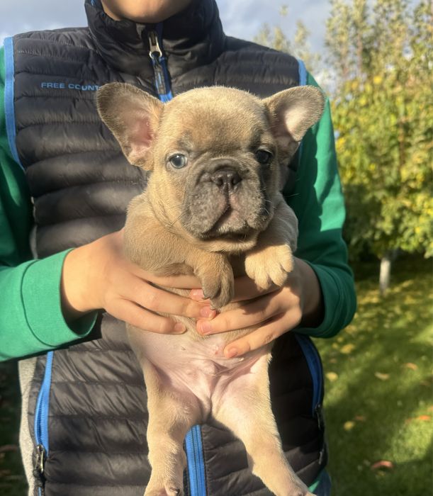 Хлопчики та дівчатка для Вас!