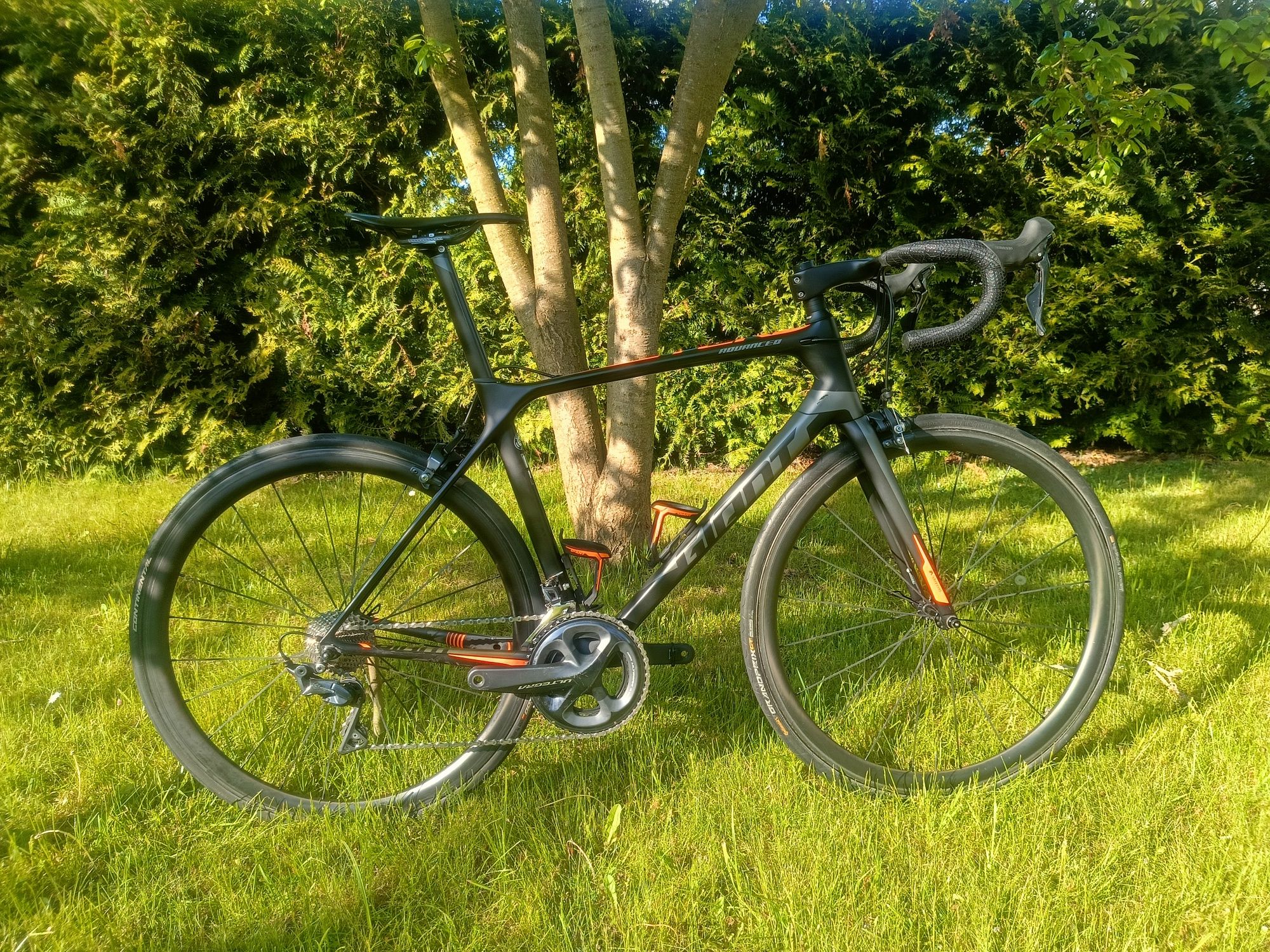 Giant TCR advanced 1 M/L