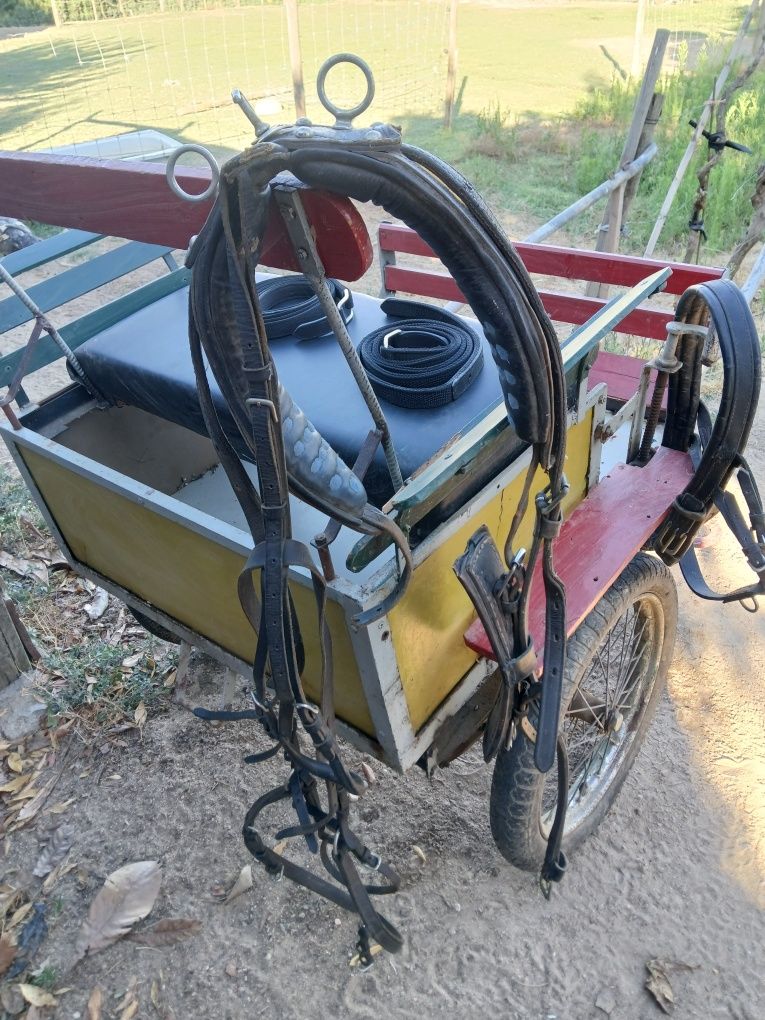 Vendo mini carroça para pónei com arreio e cabecada