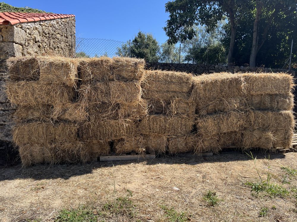Fardos de palha (stock limitado)