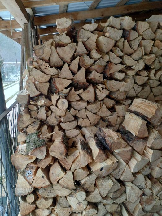 Drewno drzewo sosna sosnowe opałowe pocięte łupane