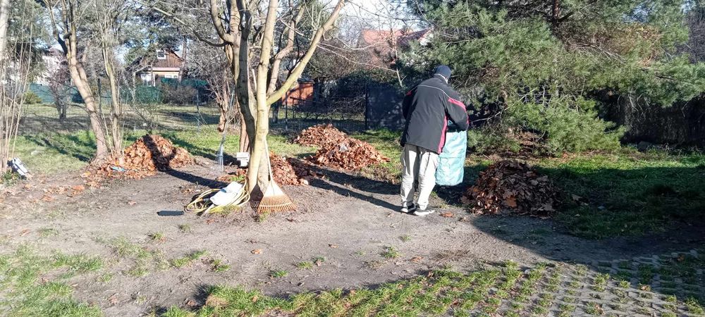 Grabienie liści- Pruszków i okolice.