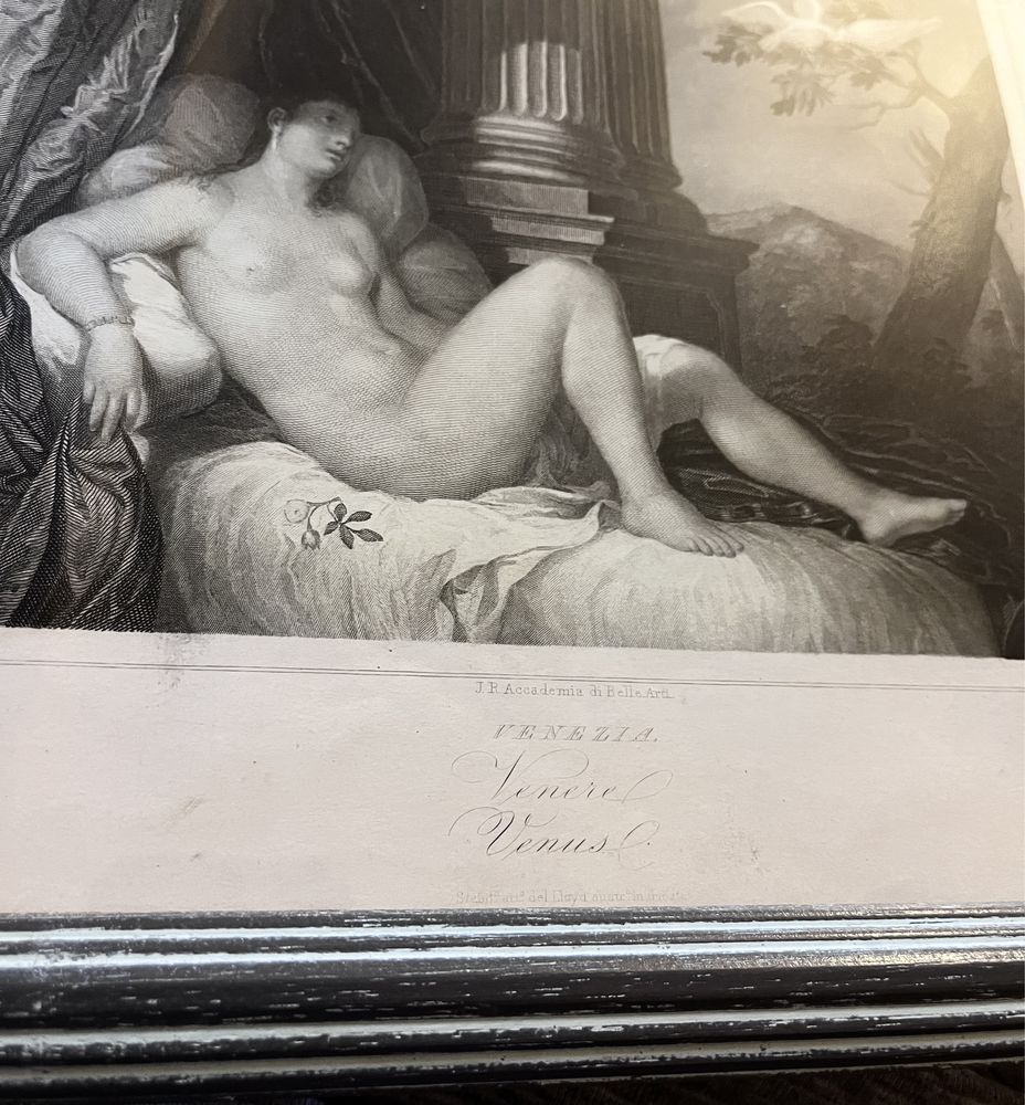 Staloryt „Naga Wenus” G. Contarini/ Geyer 1854r