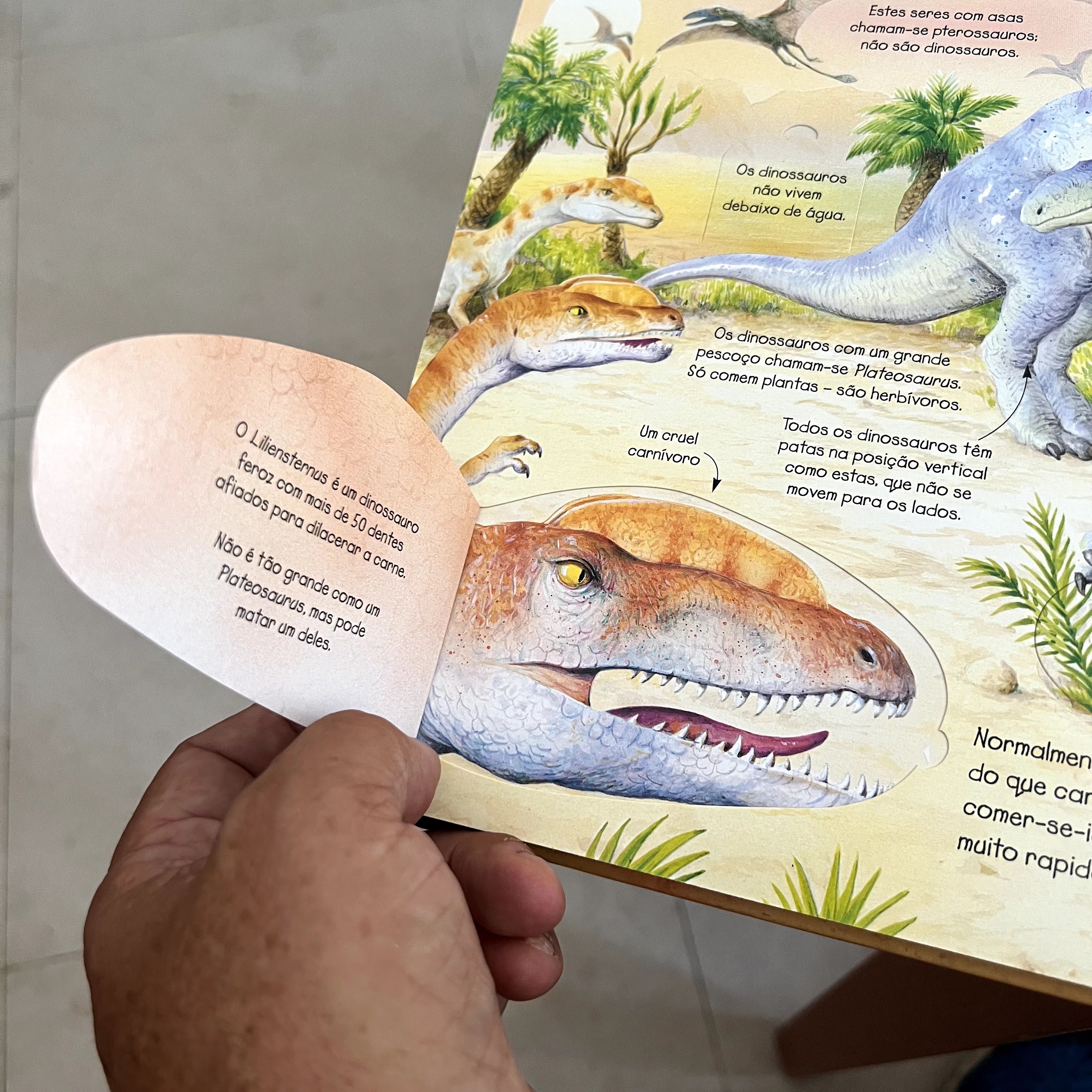 Livros Didáticos - Espreita da Porto Editora - Bons