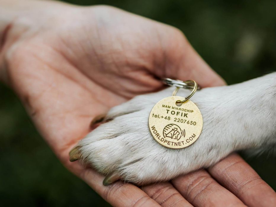 Zawieszka z kodem QR umożliwiającym szybką identyfikację psa lub kota