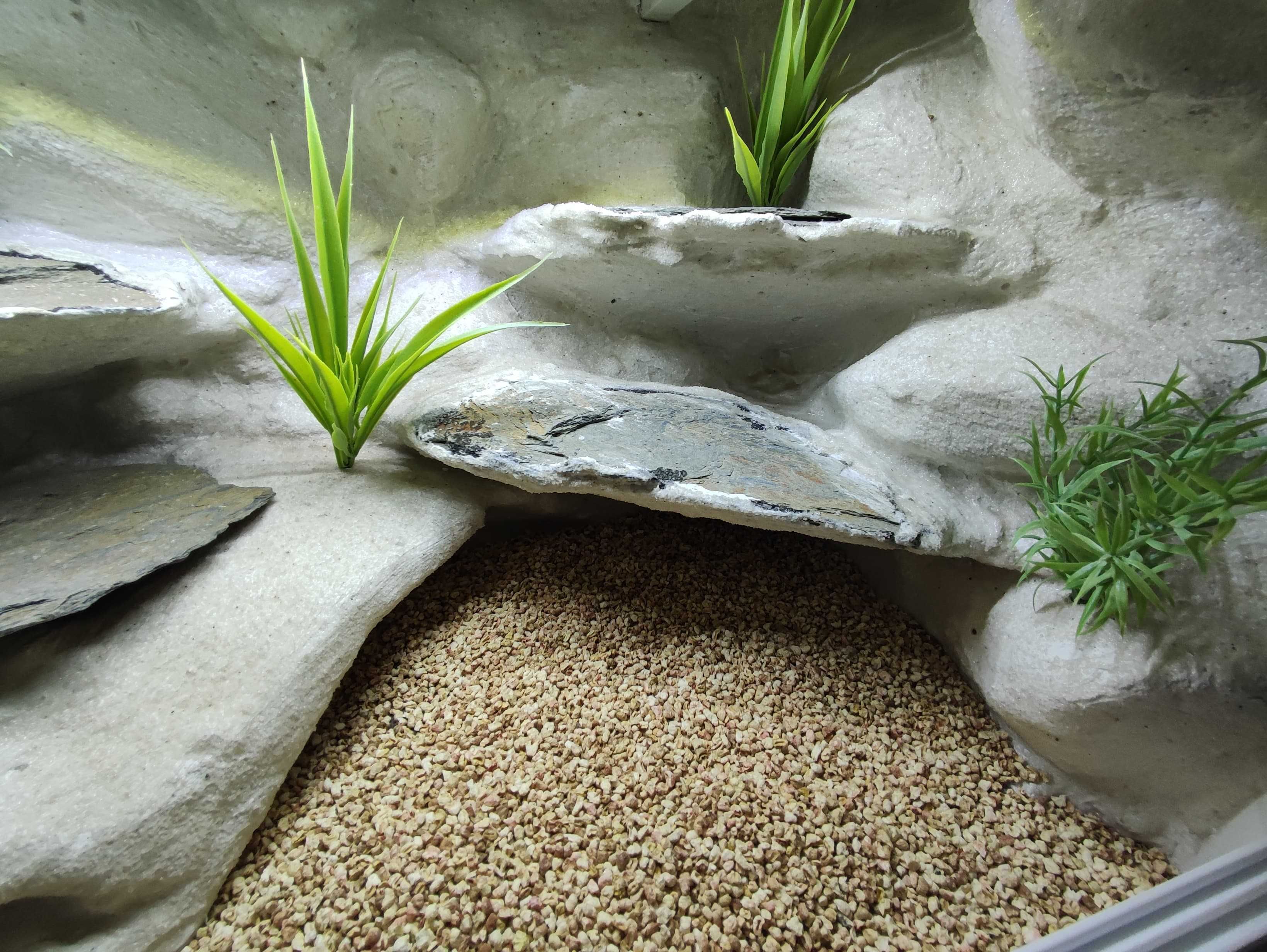 Terrarium pustynne nr711 60/40/40 dla gekona lamparciego DOSTĘPNE