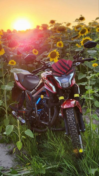 Продам мотоцикл Мустанг фортуна 200