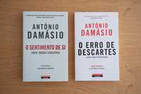 Lote de livros António Damásio