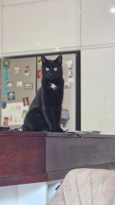 Levi- czarujący chłopak z krawacikiem :)