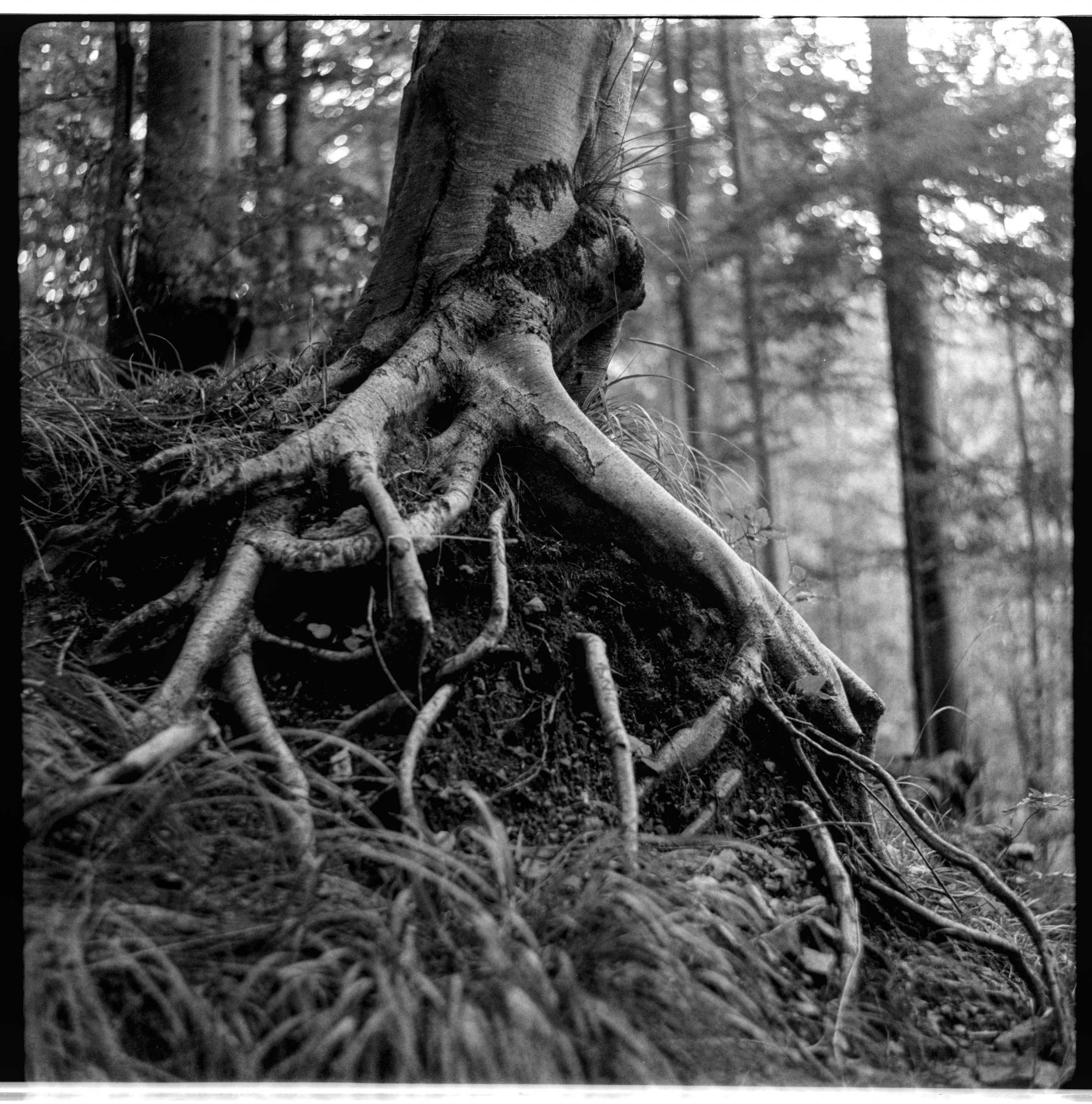 Balda Super Baldax 8CM F2.8