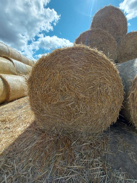 Słoma sprzedam lub zamienię za obornik