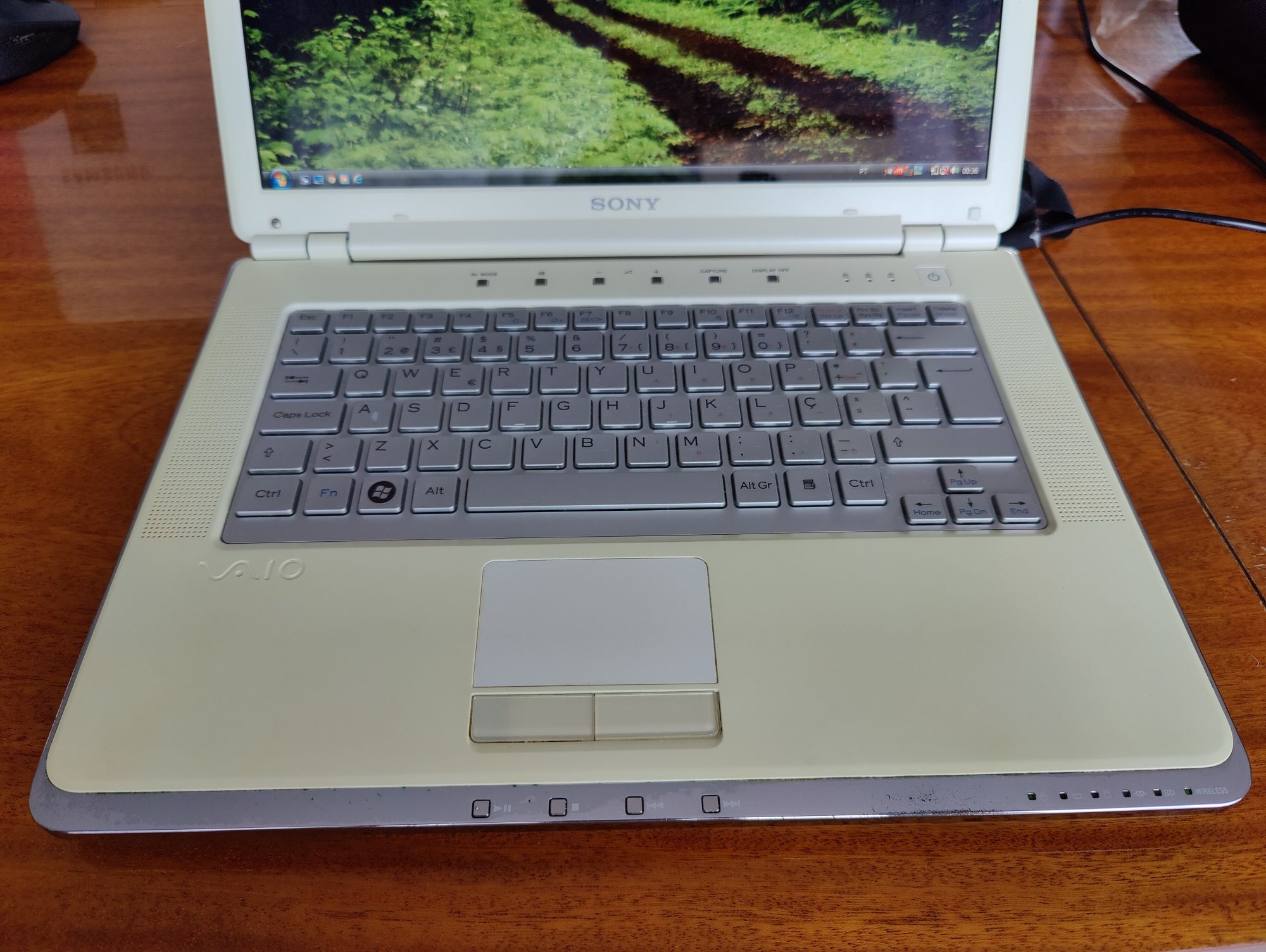 Portátil Sony Vaio VGN-CR31S