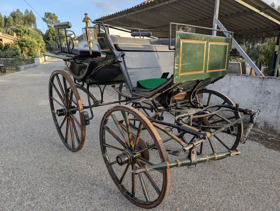 Charrete verde para cavalo ou burro – com travões