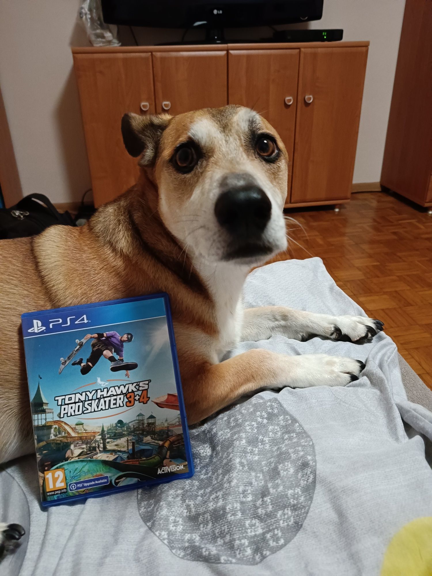 Tony Hawk's Pro Skater 3+4 PS4 i PS5