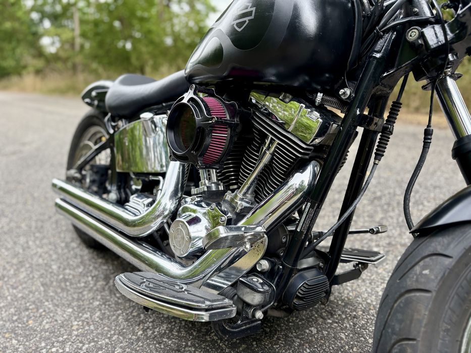 Harley Davidson softail custom