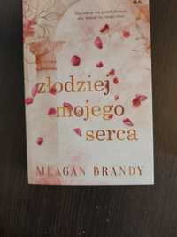 Złodziej mojego serca meagan brandy