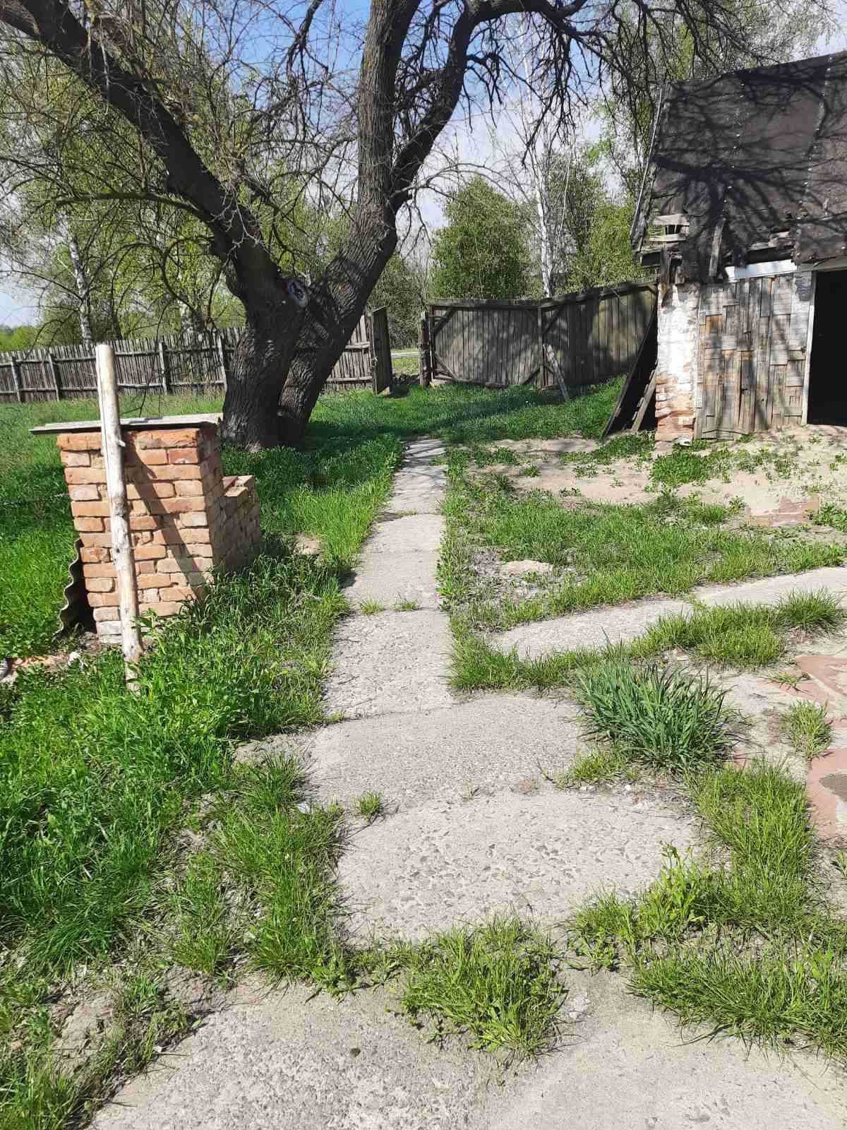 Оране, будинок з 20 сотками землі. Поруч ліс і річка. Дуже гарне місце