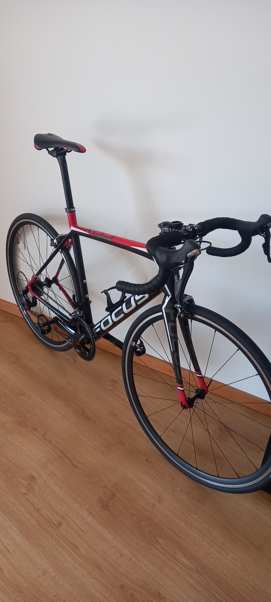 Focus Cayo Carbono