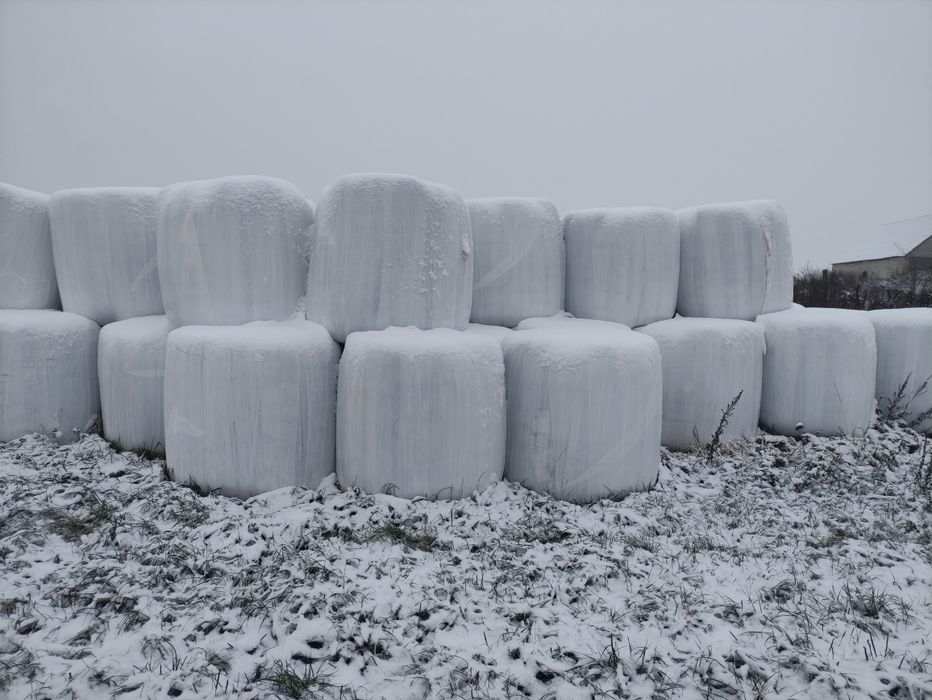 BELE Siano Sianokiszonka Lucerna