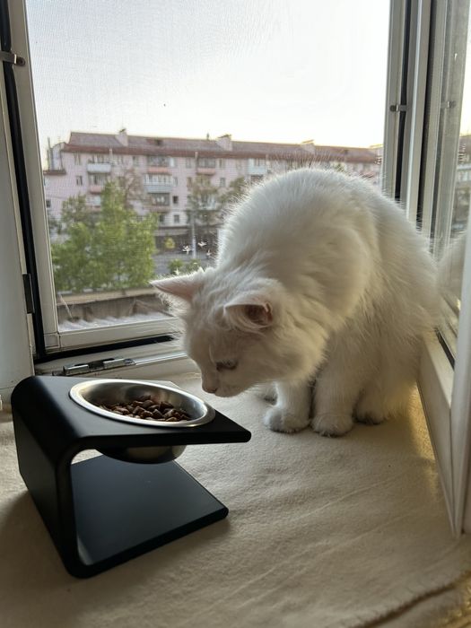 Підставка під миску для тварин. Подставка