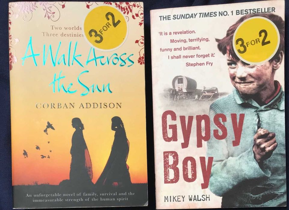 Livros em Inglês/ books in English