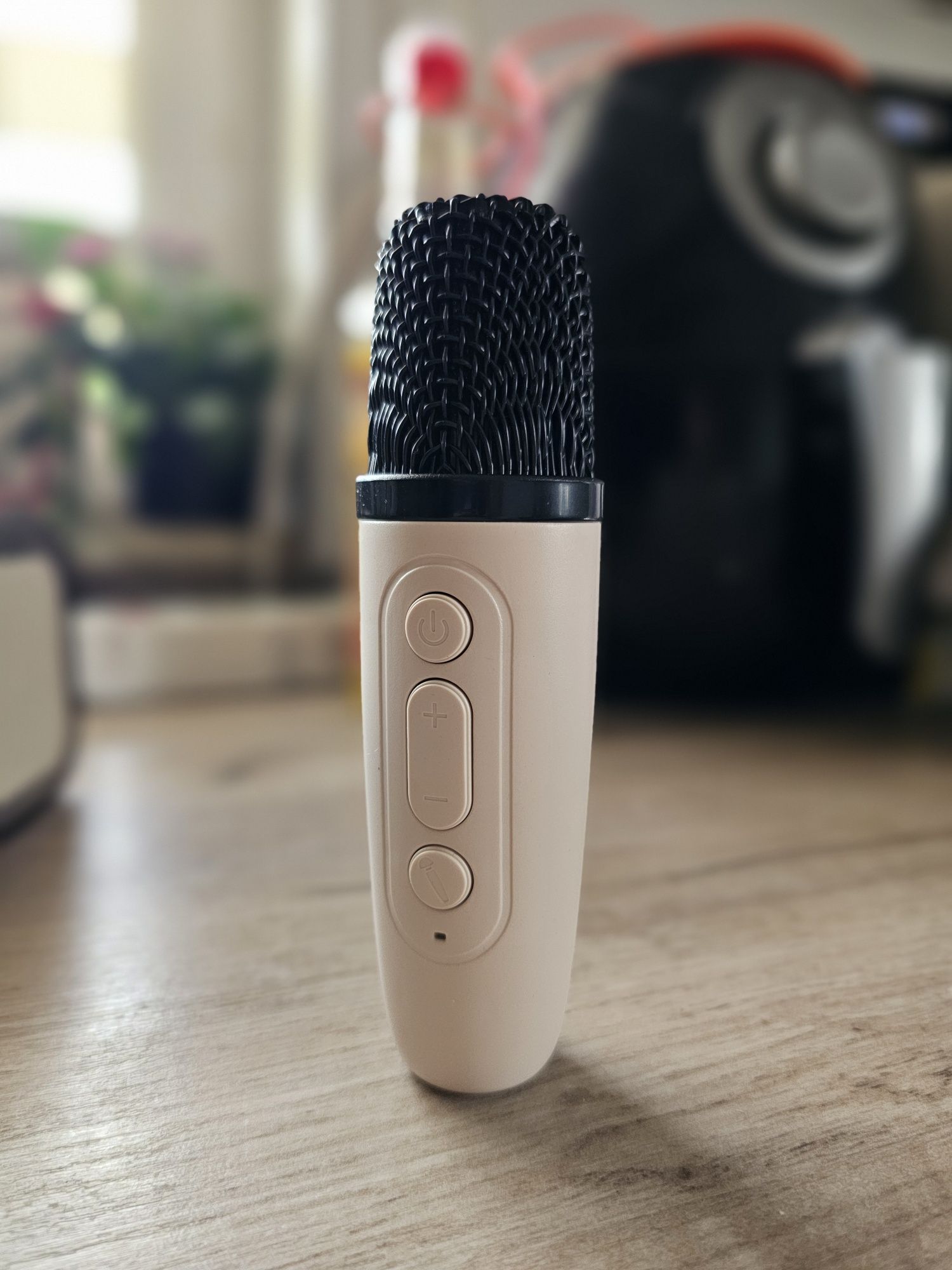 Głośnik karaoke z mikrofonem K12