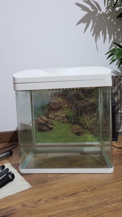 Akwarium z zaokrąglonymi narożnikami (zestwaw)