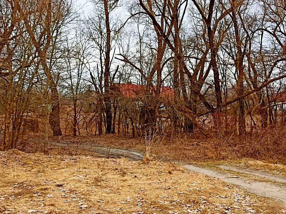 TO Земельна ділянка в стародавньому селі Боромики